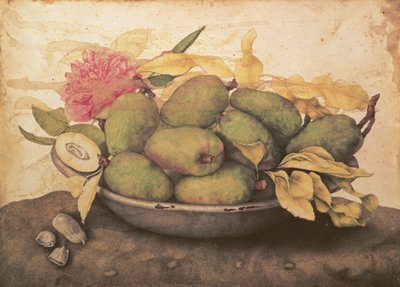 A Bowl of Pears by Giovanna Garzoni